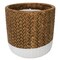 Trendspot Trendspot Assorted Ceramic 4 in. H Reed Citronella Candle CC00318N-Q3 - alternate 4